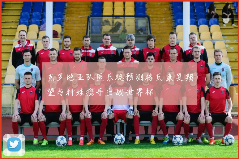 克罗地亚队医乐观预测格瓦康复期望与科娃携手出战世界杯