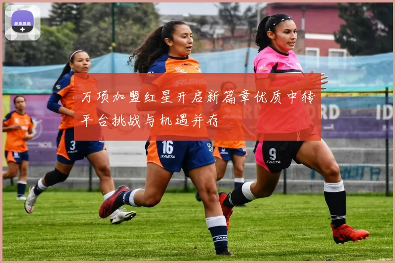 万项加盟红星开启新篇章优质中转平台挑战与机遇并存
